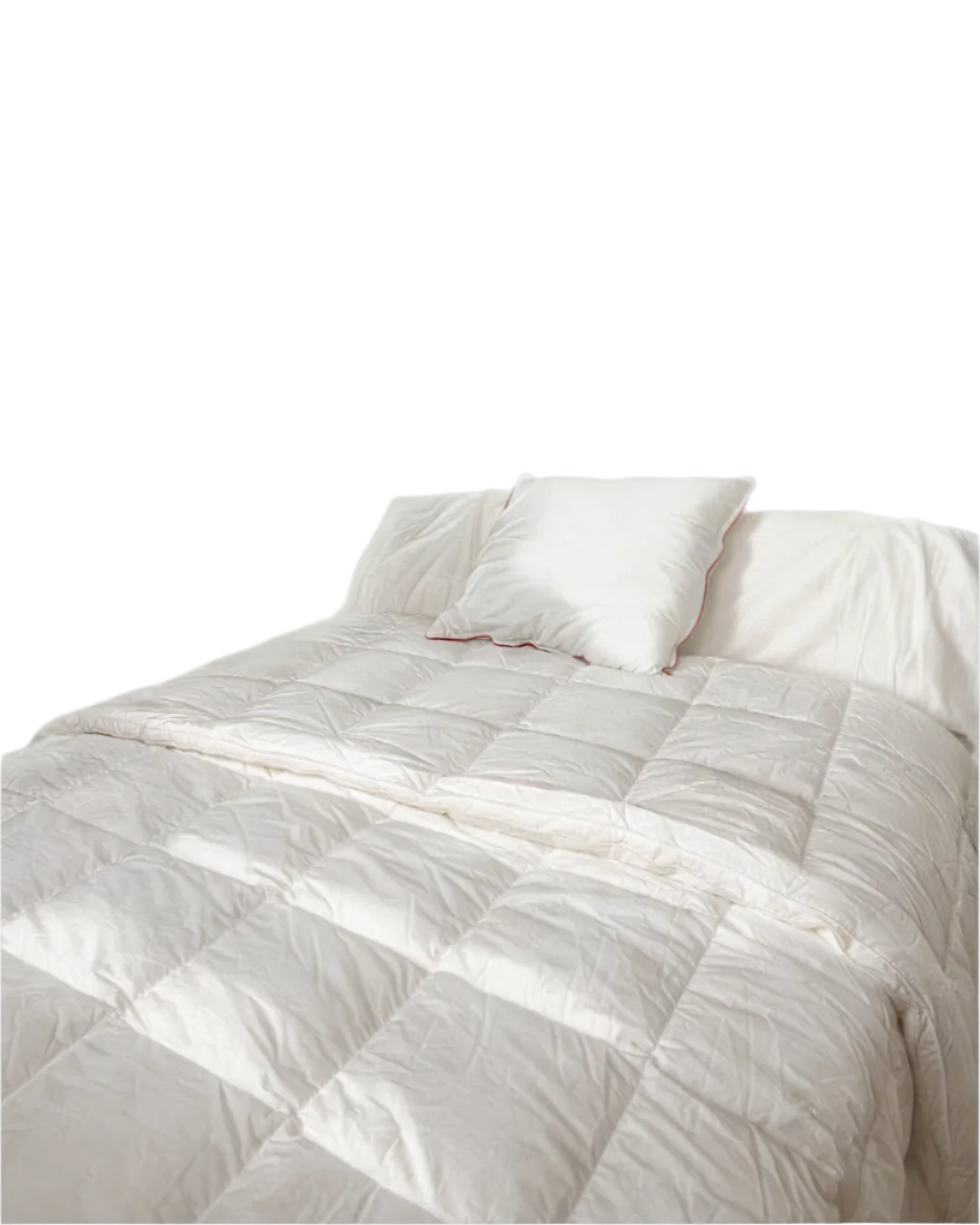 Couette "Excellence" 500 g/m²